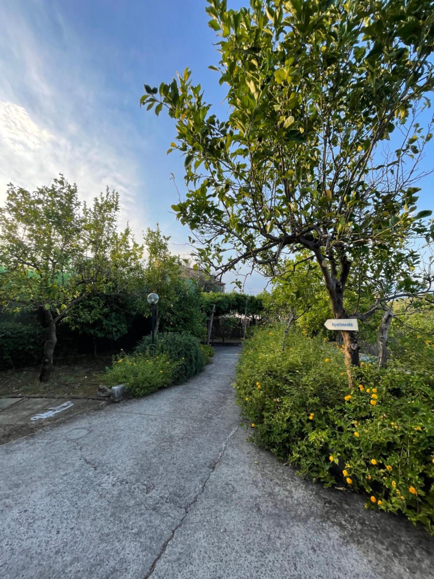 Villa Rosmary Massa Lubrense Extérieur photo